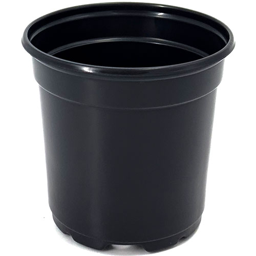 4 Inch Round Pot Coex Black with Tag Slot - 41,140 per pallet - Mum Pans